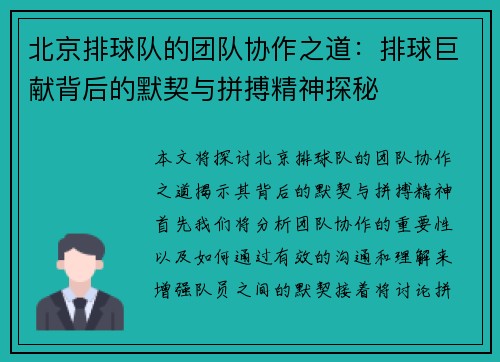 北京排球队的团队协作之道：排球巨献背后的默契与拼搏精神探秘