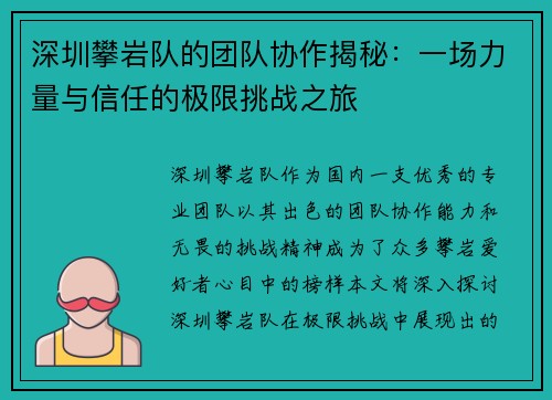 深圳攀岩队的团队协作揭秘：一场力量与信任的极限挑战之旅
