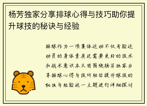 杨芳独家分享排球心得与技巧助你提升球技的秘诀与经验